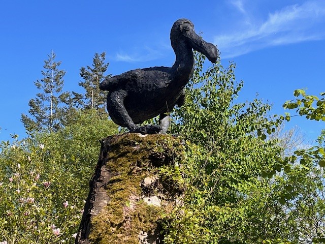 Dodo by Penelope Cairns
